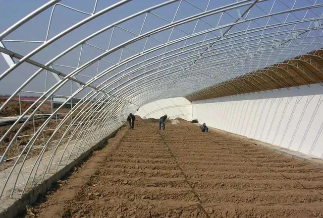 夏季大棚處理土壤，有效降低病蟲(chóng)害，這四種方式你知道幾個(gè)