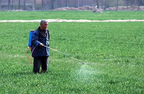 收藏這篇文章，配藥、稀釋、時(shí)機(jī)等打藥問(wèn)題，全部都搞懂